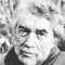 Alain Robbe-Grillet