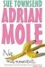 Adrian Mole. Na manowcach
