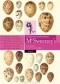 McSweeney's - Najlepsze opowiadania t. 2