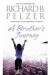 A Brother's Journey