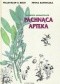 Pachnąca apteka. Tajemnice aromaterapii