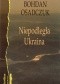 Niepodległa Ukraina: Wybór szkiców, artykułów i rozmów (1991-2006)