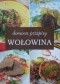 Wołowina. Domowe przepisy
