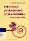 Surrealizm, underground, postmodernizm. Szkice o literaturze czeskiej.