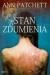 Stan zdumienia