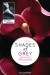 Shades of Grey. Geheimes Verlangen - Erika Leonard