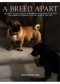 A Breed Apart. From the Collections of the American Kennel Club