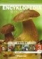Skarby polskiej natury - Encyklopedia przyrody - Grzyby jadalne