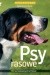 Psy rasowe
