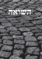 Pamięć Shoah. Kulturowe reprezentacje i praktyki upamiętniania