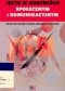 Język w kontekście społecznym i komunikacyjnym. Rusycystyczne studia konfrontatywne