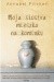 Moja siostra mieszka na kominku