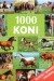 1000 koni