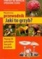Mój pierwszy przewodnik. Jaki to grzyb?