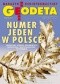 Geodeta. Magazyn geoinformacyjny, nr 8 (219)/2013