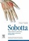 Atlas Anatomii Człowieka Sobotta. Tom 1.: Ogólne pojęcia anatomiczne. Narządy ruchu