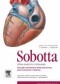 Atlas Anatomii Człowieka Sobotta. Tom 2.: Narządy wewnętrzne klatki piersiowej, jamy brzusznej i miednicy
