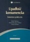 Upadłość konsumencka. Komentarz praktyczny