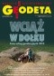 Geodeta. Magazyn geoinformacyjny, nr 10 (221)/2013