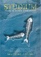 Studium. Pismo o nowej literaturze, nr 6 (54)/2005 - 1 (55)/2006