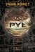 Pył