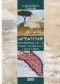 Messapiowie. Południowa Apulia wobec hellenizacji i romanizacji