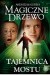 Tajemnica mostu