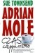 Adrian Mole. Czas cappuccino