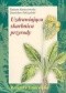 Uzdrawiająca skarbnica przyrody /Rosyjska fitoterapia