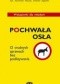 Pochwała osła /O trudnych sprawach bez podlizywania. wskazówki dla młodych