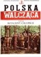 Bataliony Chłopskie i konspiracyjne organizacje ruchu ludowego