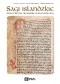 Sagi islandzkie. Zarys dziejów literatury staronordyckiej