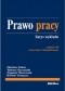Prawo pracy. Zarys wykładu