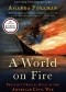 A World on Fire: Britain's Crucial Role in the American Civil War