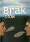 Brak słów. Topos "niewysłowienia" w nauce i literaturze o sztuce. Materiały seminarium metodologicznego Stowarzyszenia Historyków Sztuk : Nieborów 26-28 października 2006