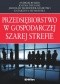 Przedsiębiorstwo w gospodarczej szarej strefie