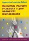 Obniżanie poziomu przemocy i lęku młodzieży gimnazjalnej