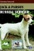 Jack & Parson Russell Terrier