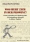 Wos hert zich in der prowinc? Prasa żydowska na Lubelszczyźnie i jej największy dziennik