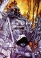 Fables: The Deluxe Edition Book Five