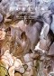 Fables: The Deluxe Edition Book Six