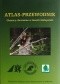 Obszary chronione w lasach Małopolski. Atlas-przewodnik