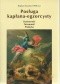 Posługa kapłana - egzorcysty. Duchowość. Tożsamość. Praktyka