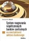 System reagowania współczesnych banków centralnych na niestabilność sektora bankowego