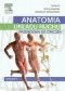 Anatomia układu ruchu. Przewodnik do ćwiczeń