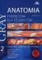 Gray Anatomia Podręcznik dla studentów Tom 2