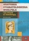 Anatomia stomatologiczna Woelfela i jej związek ze stomatologią