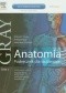 Gray Anatomia Podręcznik dla studentów Tom 2