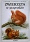 Zwierzęta w przyrodzie. Najbardziej znane ptaki i ssaki oraz ich młode, które zamieszkują nasze lasy, pola i wody