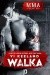 MMA Fighter. Walka